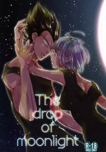 (C82) [Hatarakimasen.. (Oniyuri)] The drop of moonlight (Dragon Ball Z) [English] [something or nothing scans]