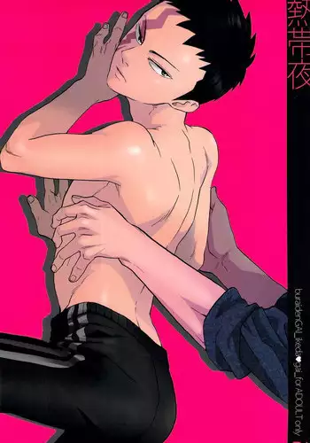 (C76) [Ochawan (Wakachiko)] Nettaiya (Buraiden Gai)