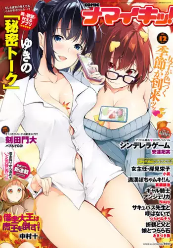 Namaiki! 2017-12 [Digital]