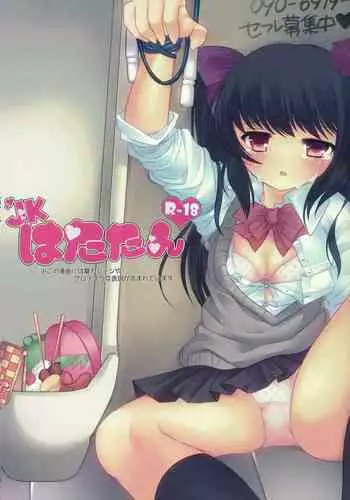 (C80) [Chemical Janky (Shiori)] JK Hatatan (Touhou Project) [Chinese]