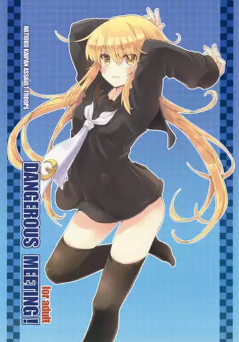 (C89) [Hachiouji Kaipan Totsugeki Kiheitai (Makita Yoshiharu)] DANGEROUS MEETING! (Kantai Collection -KanColle-)