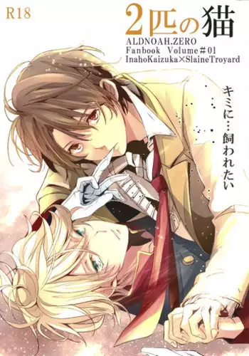 (SPARK9) [Shiroan (Runa)] 2-hiki no Neko (Aldnoah.Zero)