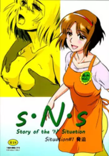 (C86) [MASHIRA-DOU (Mashiraga Aki)] Story of the 'N' Situation - Situation#1 Kyouhaku [Chinese] [月之废墟汉化]