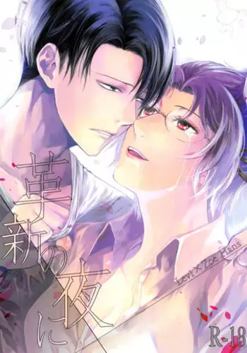 (C87) [RIX (Mamiya)] Kakushin no Yoru ni (Shingeki no Kyojin)