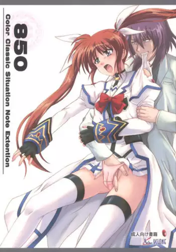 [Cyclone (Reizei, Izumi)] 850 - Color Classic Situation Note Extention (Mahou Shoujo Lyrical Nanoha)