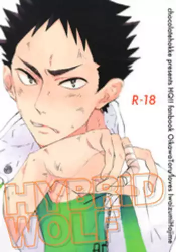 (SUPER22) [CHOCOLATE HOKKE (HOKKE)] HYBRID WOLF (Haikyuu!!) [Chinese] [阿徹的牛奶棒漢化組]