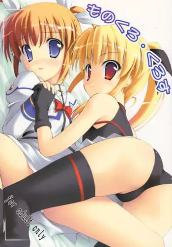 (C75) [SAZ (Onsoku Zekuu)] Monochrome Cross (Mahou Shoujo Lyrical Nanoha)